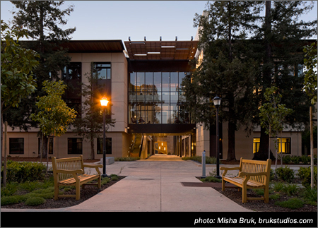 Stanford Law School Llm Program